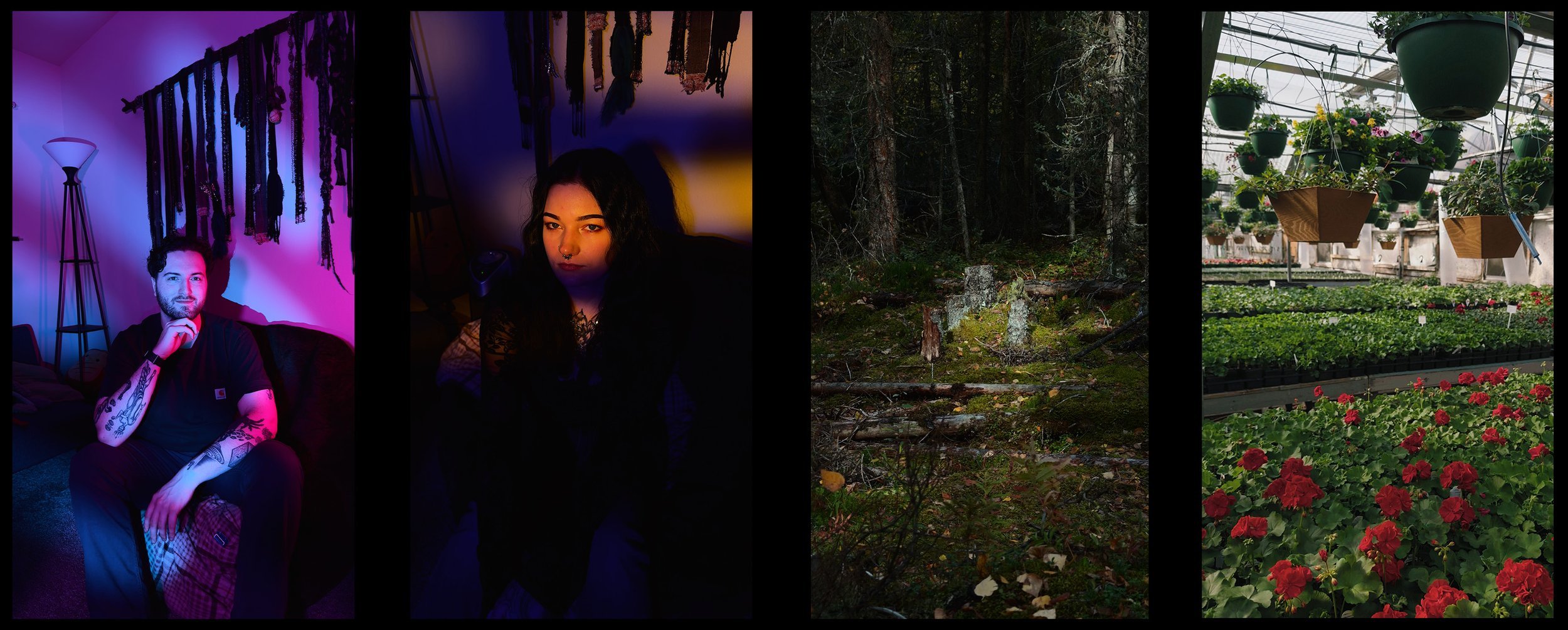 Natural Photo: A Three-Year Quest for iPhone Images That Don't Look Like iPhone Images image 1